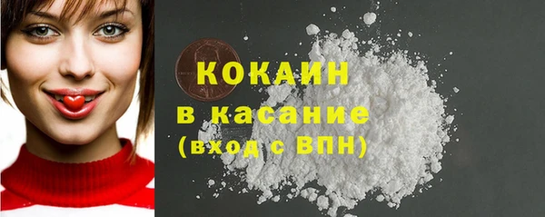 хмурый Арсеньев