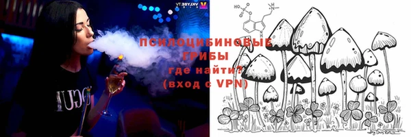 хмурый Арсеньев