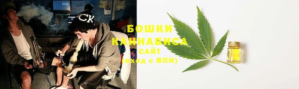 хмурый Арсеньев