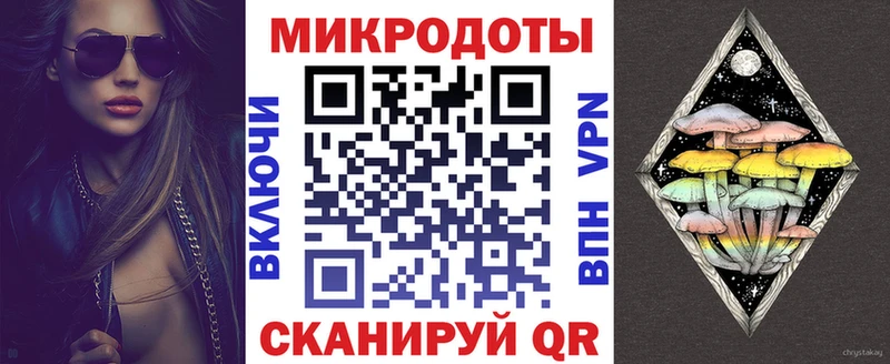 Галлюциногенные грибы Psilocybe Нестеровская