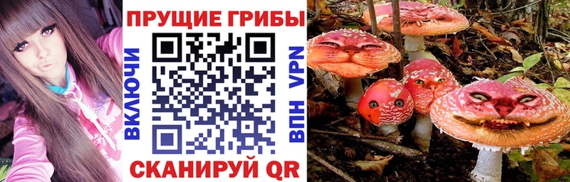 где можно купить наркотик  Нестеровская  Галлюциногенные грибы прущие грибы 