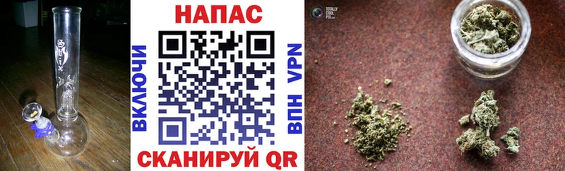 Канабис план  где можно купить наркотик  Нестеровская 